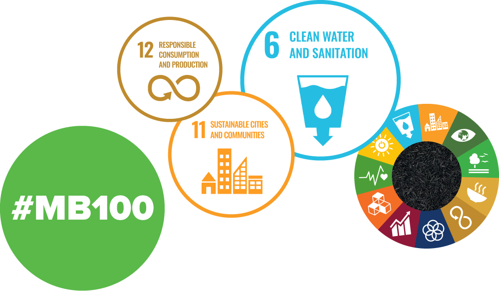 MB100 Newsletter with the UN sustainability goals Glanris and Bryan Eagle were recognized for